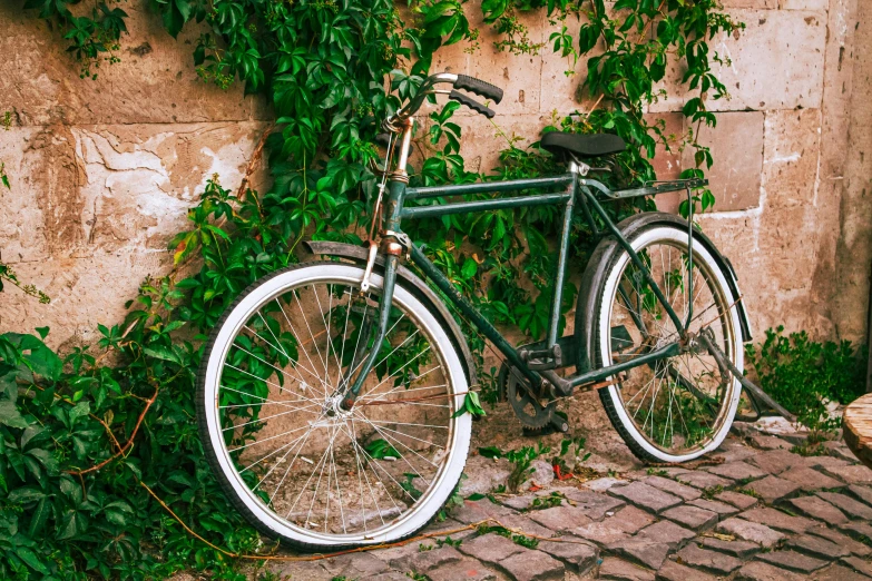 a black bicycle leaning up against a building next to ivy