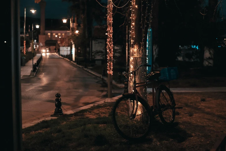 a bike propped against a tree on the side of the street