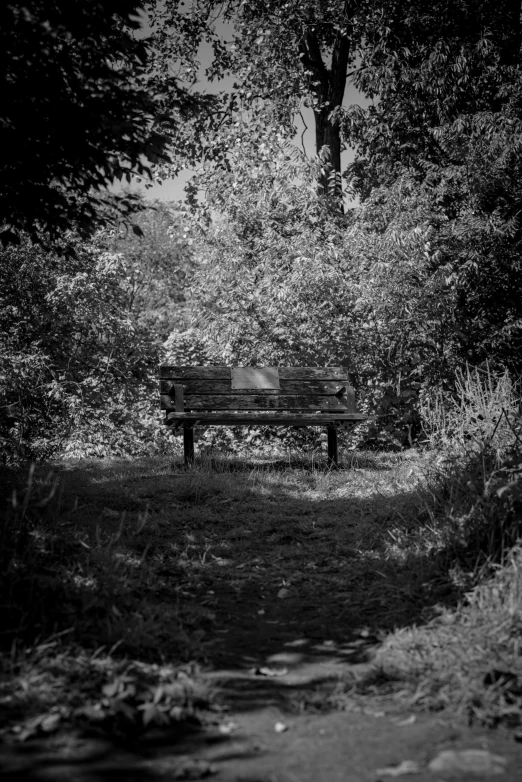 black and white pograph of an empty bench