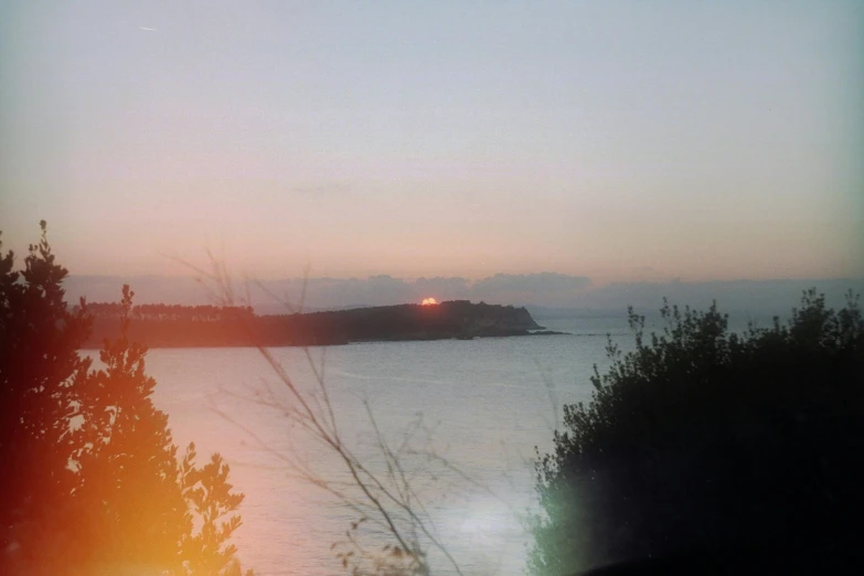 a bird flying over the water at sunset