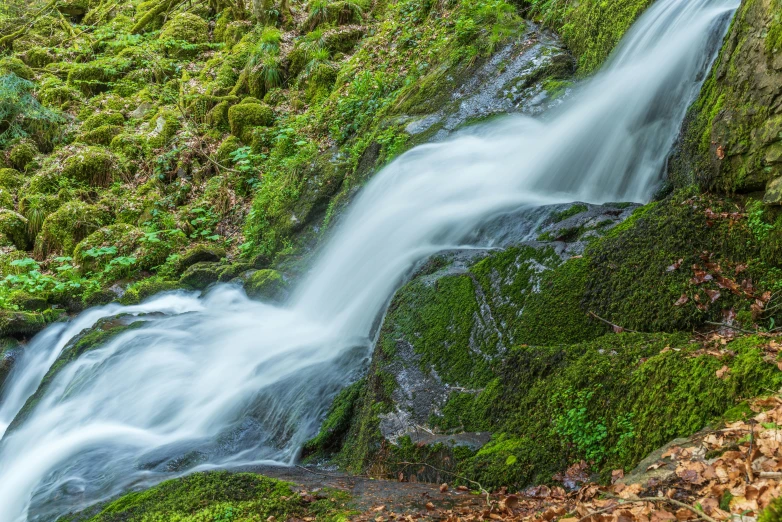 a flowing waterfall flowing through a lush green forest