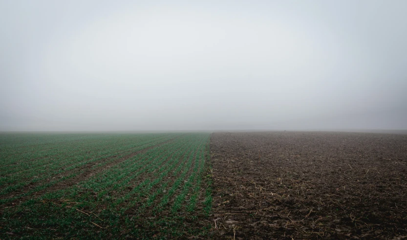 an image of a foggy farm field with a single bench