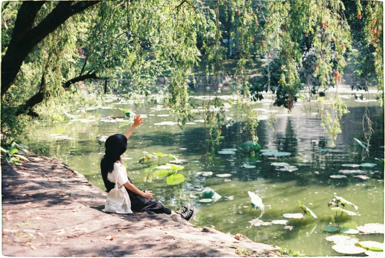 a child sits and looks out at lily pad pond