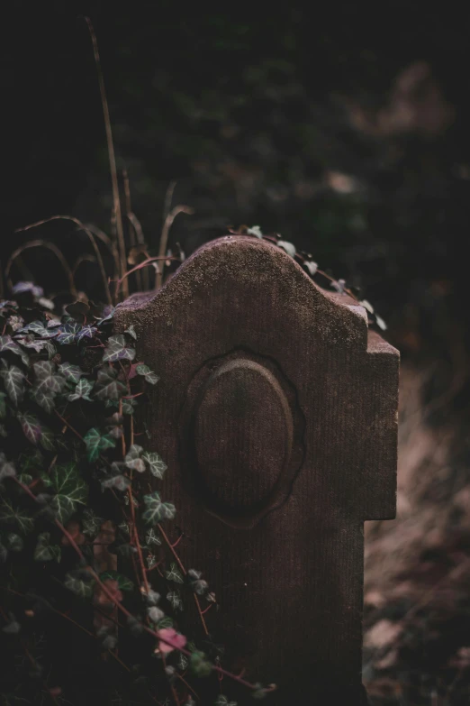 a dark stone object near plants on the ground