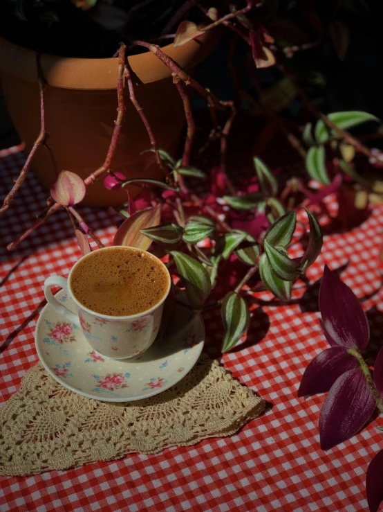 a mug on a saucer with pink flowers on a red checkered table cloth