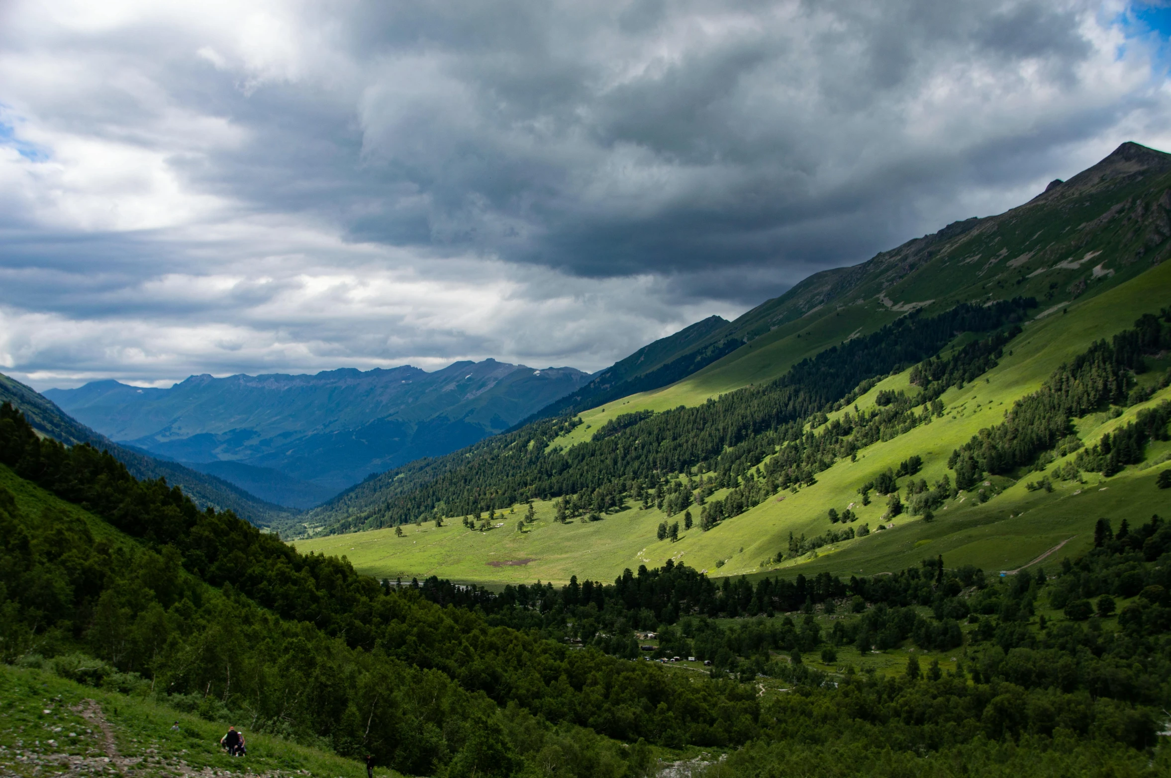 a grassy valley is bordered by trees and mountains