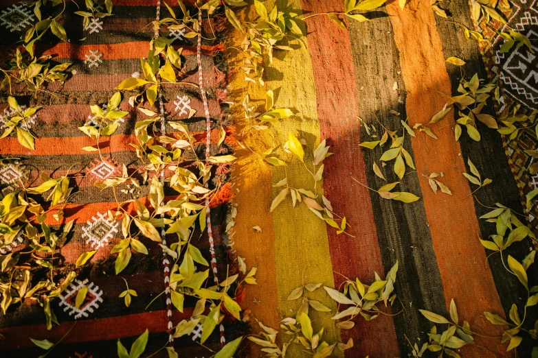 the image of leaves and rugs is displayed