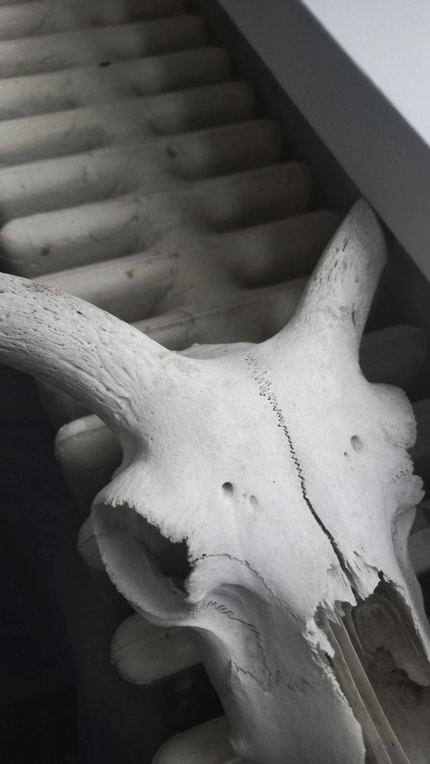 a white bull's head is attached to an air duct vent