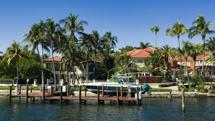 a dock is by houses and palm trees