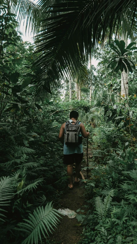 a person walking through the jungle with a backpack