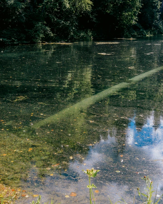 a river with water and a light pole reflecting off of it