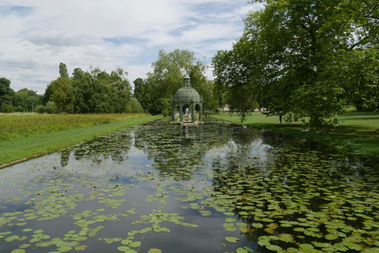 the park is filled with lily pads, trees and a pond with water lilies