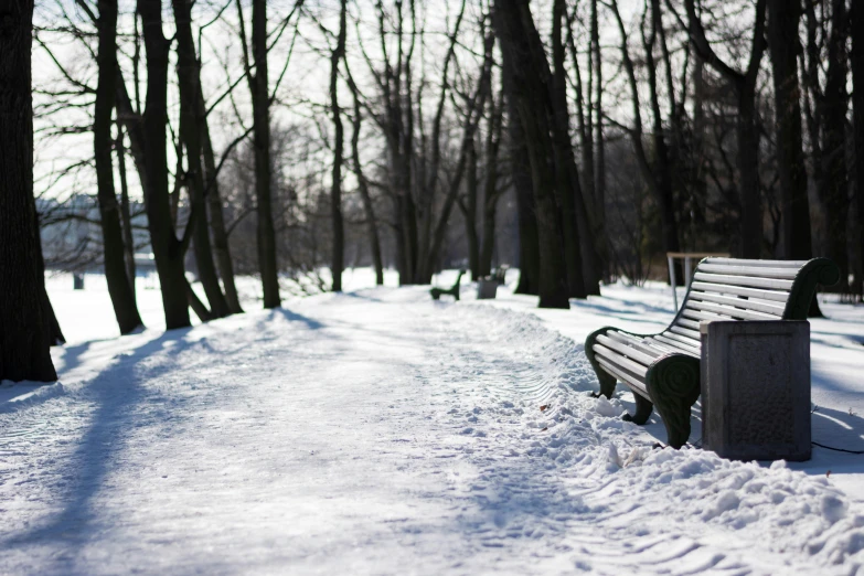 a park bench sits in the snow near a wooded area