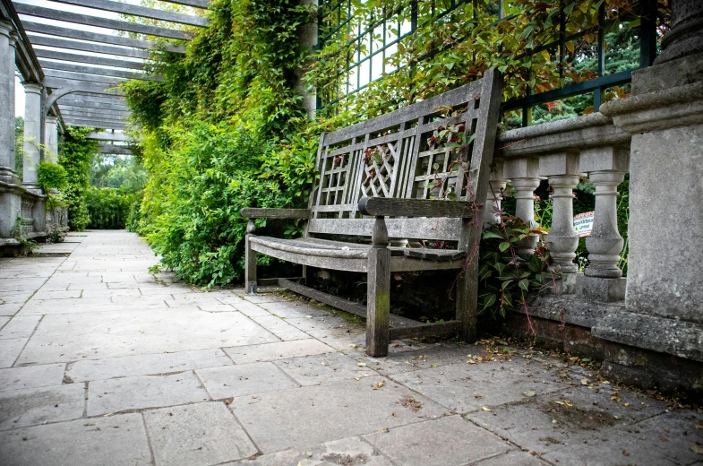 a wooden bench sitting next to a green forest