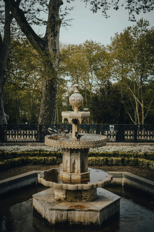 a water fountain surrounded by a bunch of trees