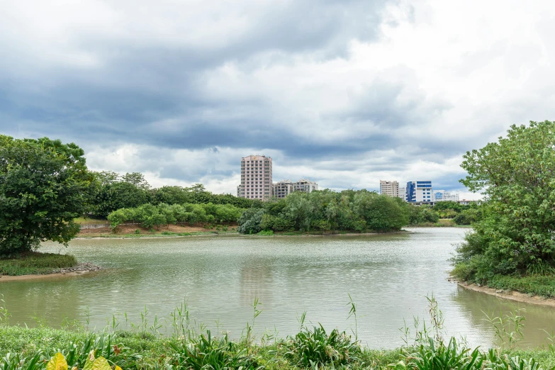 a large lake surrounded by a forest and some tall buildings