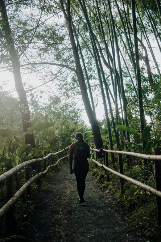 a man walks through the forest with a backpack on his back