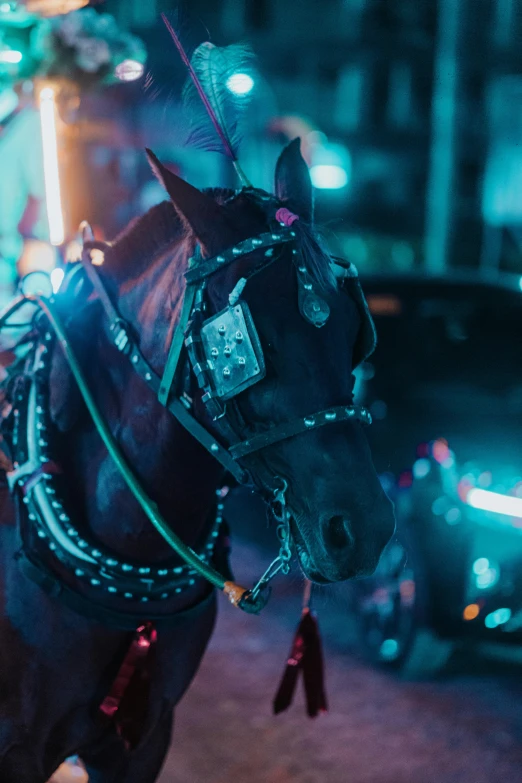 a horse is tied to a post in a city at night