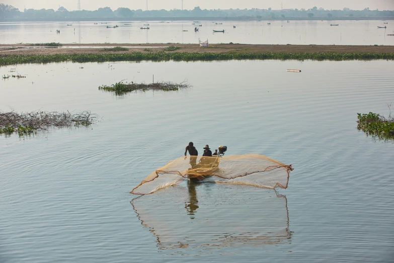 birds on an unbrellar in the middle of a lake