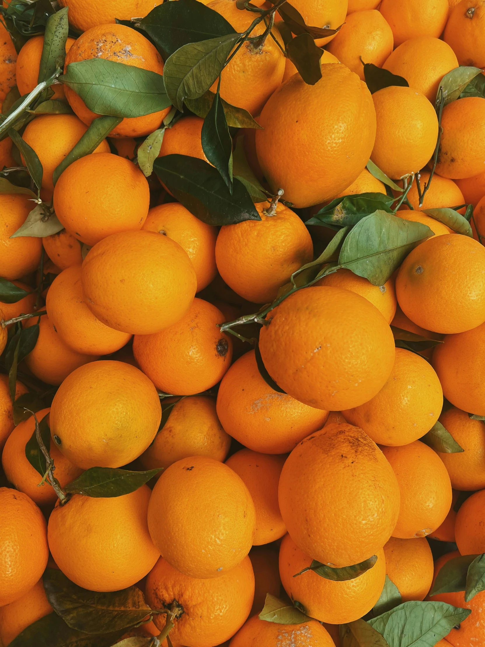 many oranges stacked next to each other in a pile