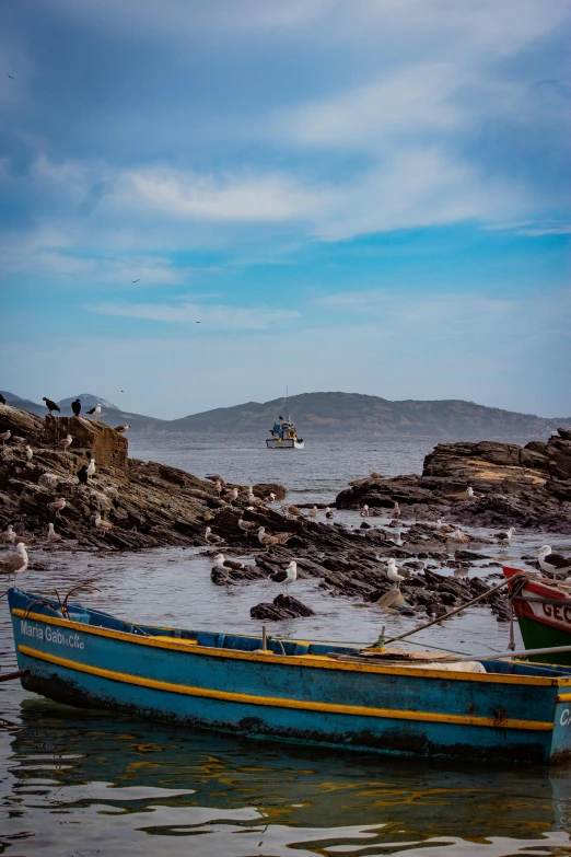 a small boat sits near the shore of a lake