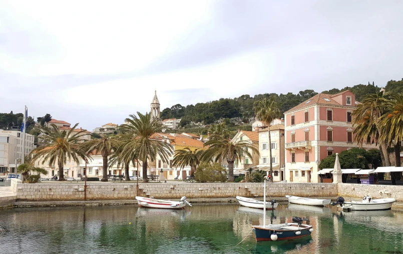 several sail boats sit in the water with palm trees