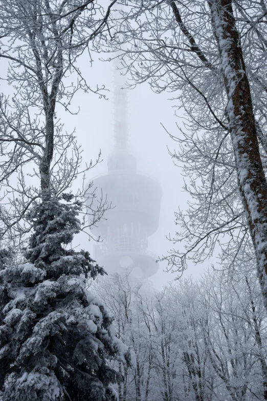 the tower is obscured by snow covered trees