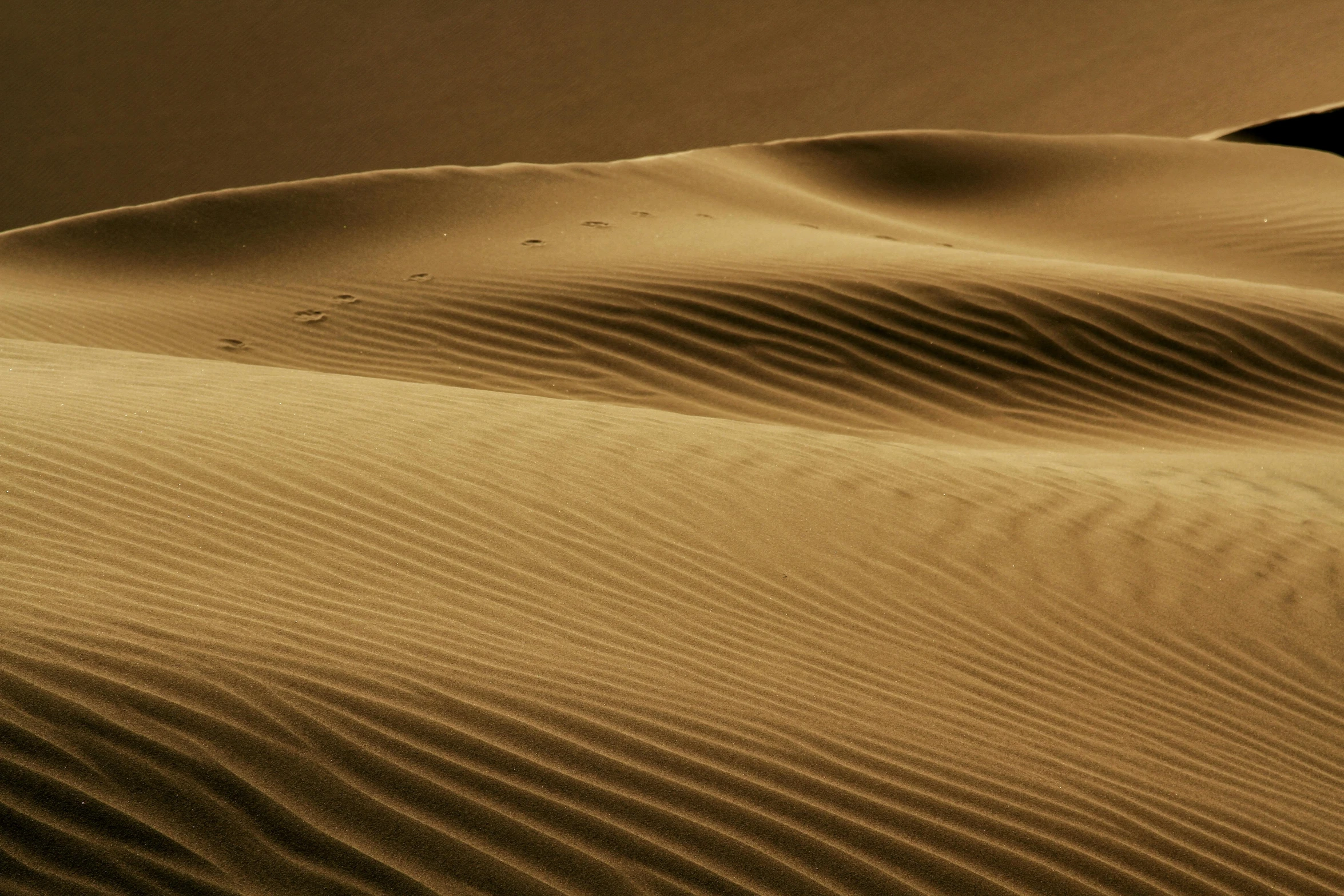 the desert landscape is very deserted and has ridges