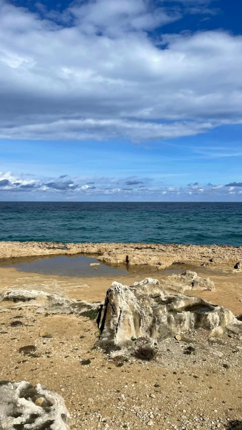 the person is standing on a beach near the ocean