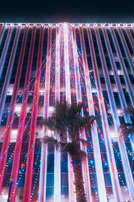 a view from a car of a tall building with lights and palm trees