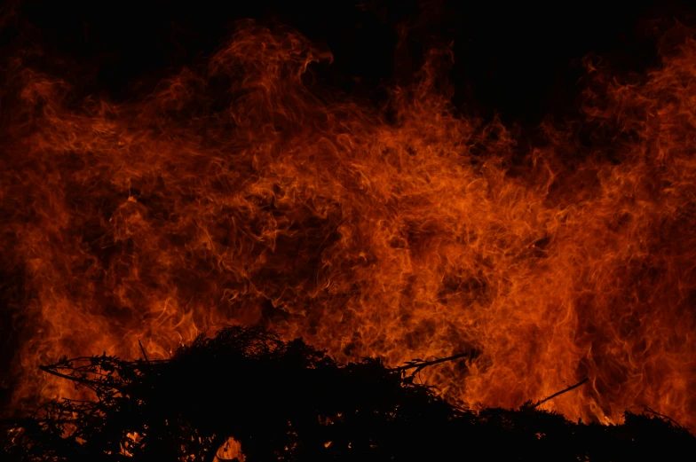 trees in fire and black sky with bright orange clouds