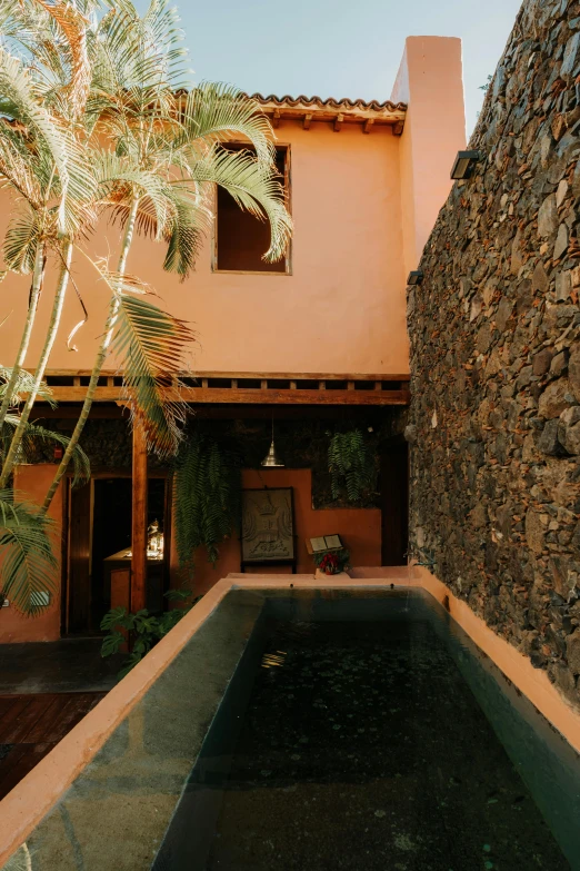 a water source near an outside courtyard with plants