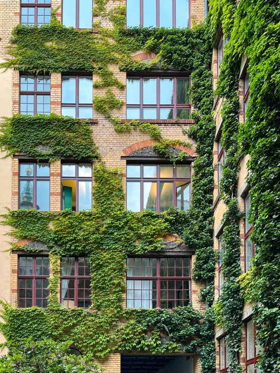 a very tall building covered in ivy
