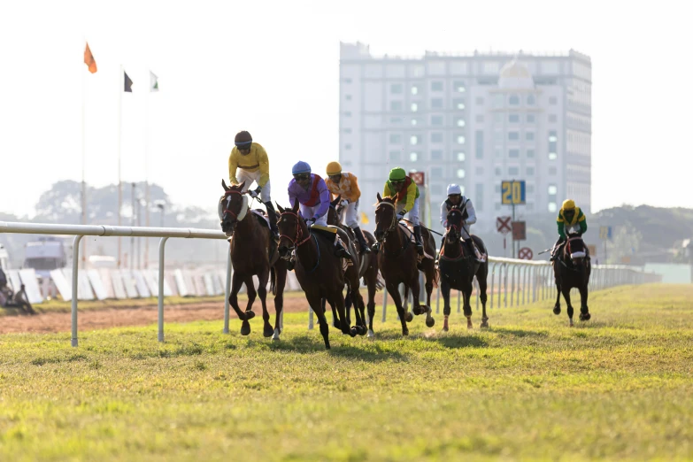 jockeys racing horses in the open at a racetrack