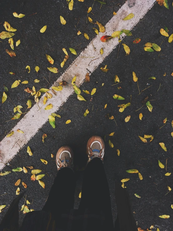a person wearing sneakers standing by leaves on the ground