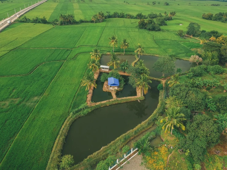 a large green field with a small lake