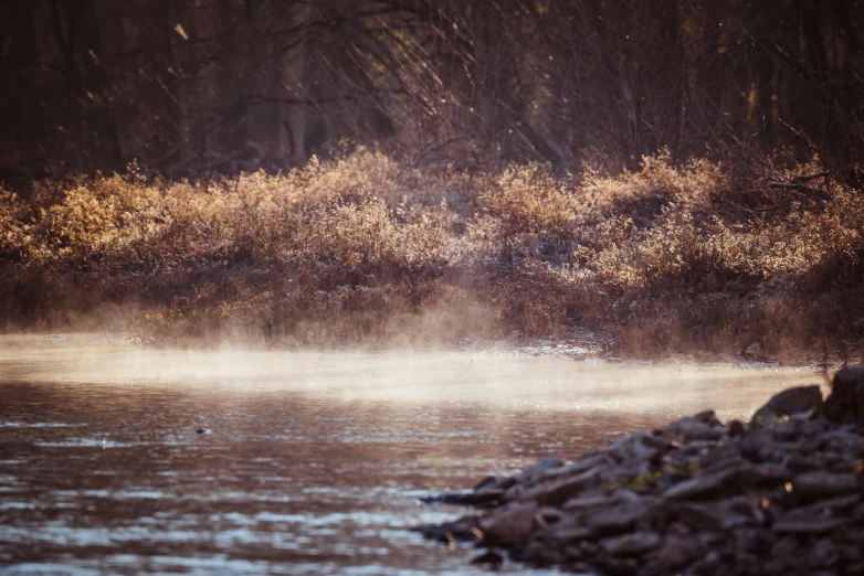 a body of water surrounded by rocks and trees