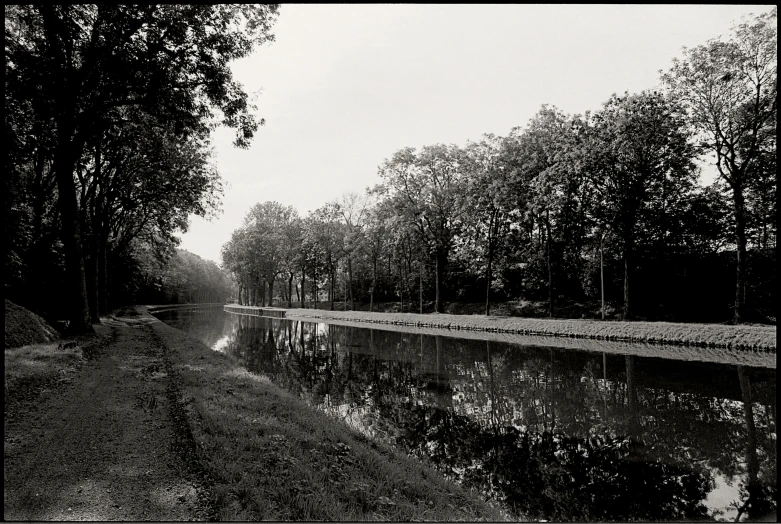 trees and grass next to a body of water in a park