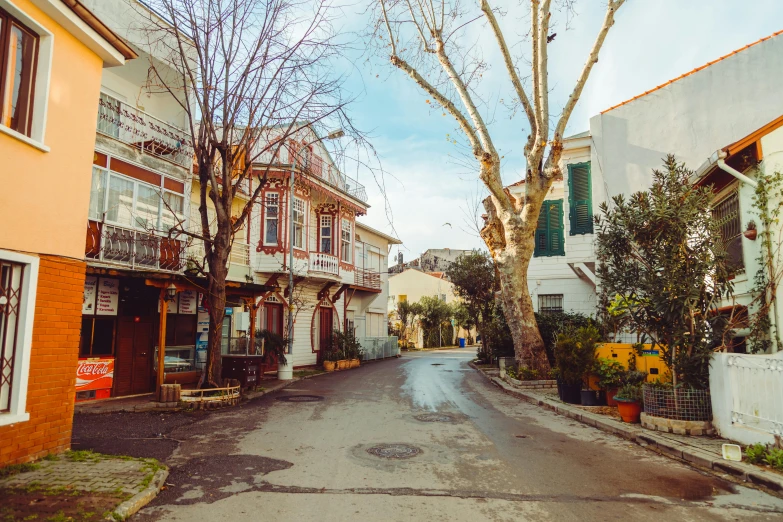 a narrow street lined with houses on either side of the road