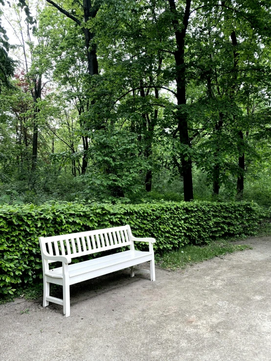 a white bench sitting in the middle of a park