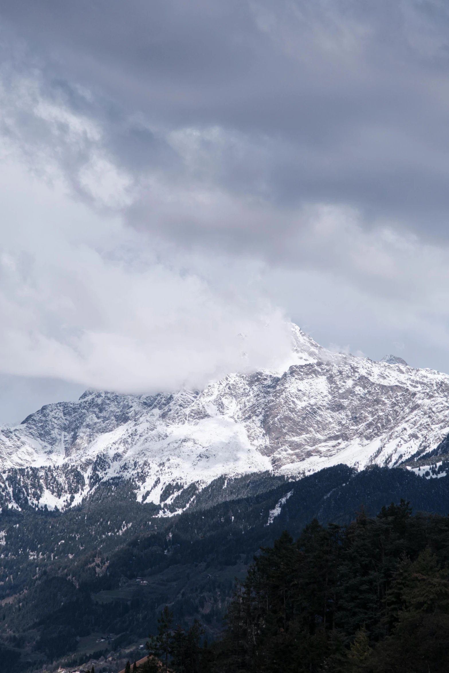 the snowy mountains are covered in dark green trees