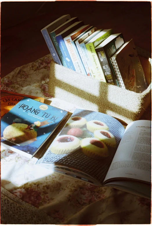 books on a bed in the sun