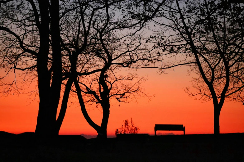 a bench sitting next to some trees in front of the sun