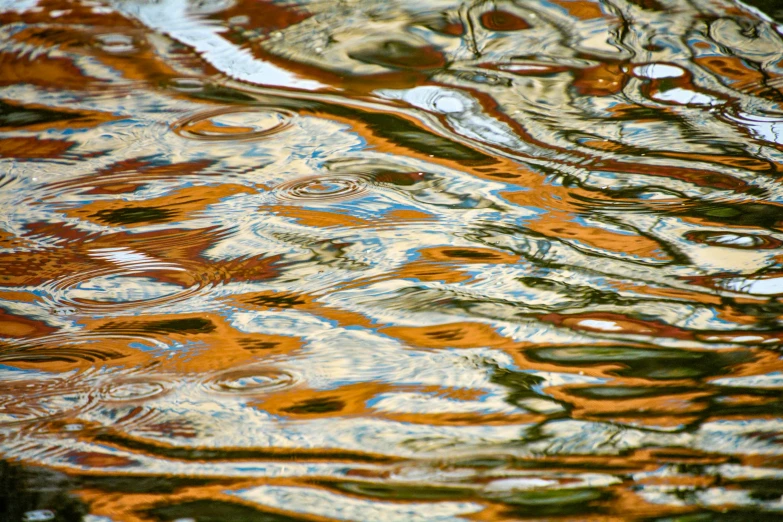 the reflection of trees in water is shown