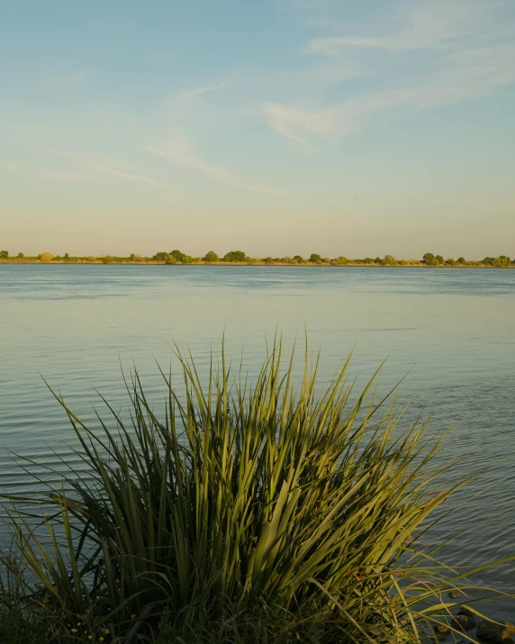 small boat floating on a body of water