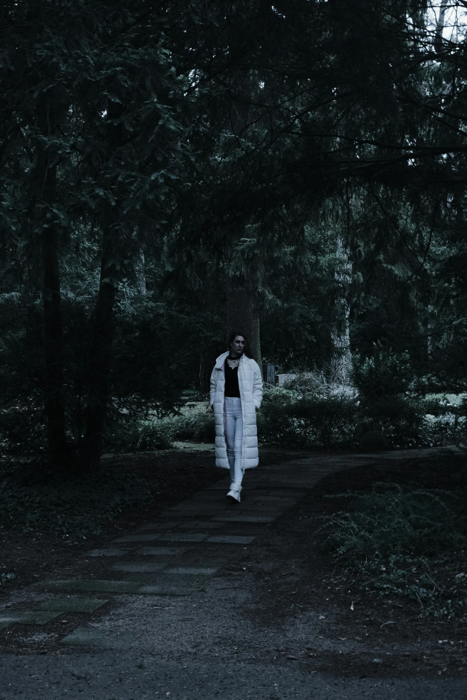 a man walking on a path in the woods