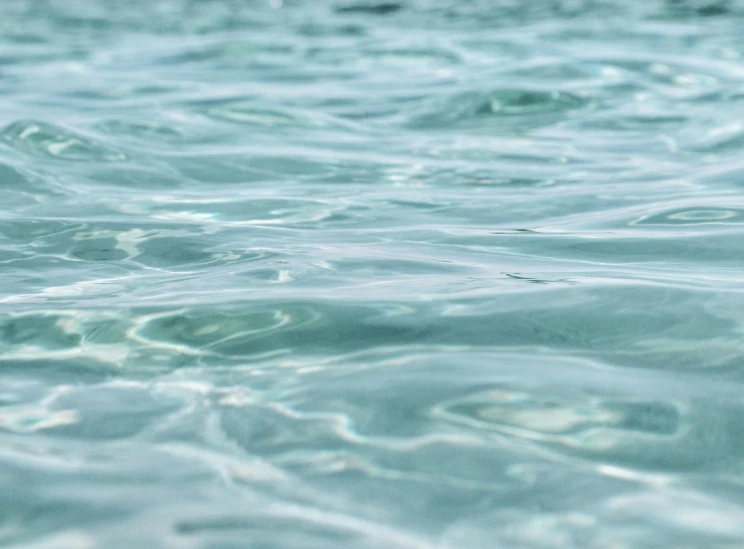 the clear, blue water is very shallow