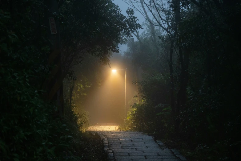 the tunnel is fogged up by a street lamp