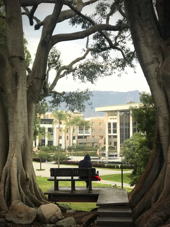 a person sitting on a park bench in between trees