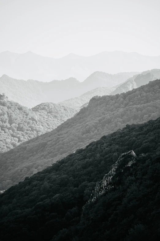 mountains in the distance are covered by fog